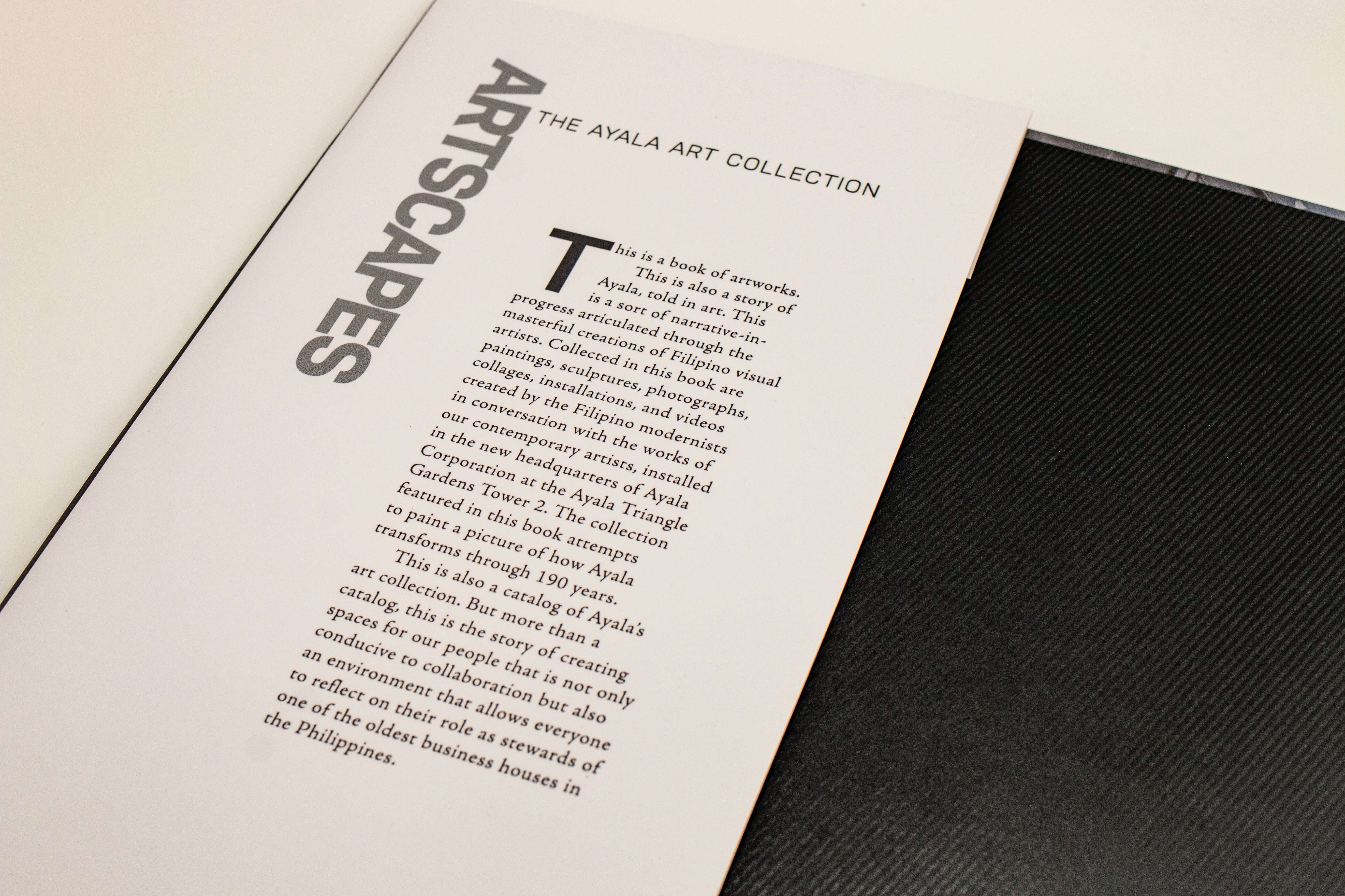 Artscapes is “a book of artworks [and] a story of Ayala, told in art.”